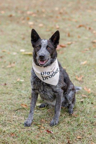 mobile - carousel-hero-element image-3